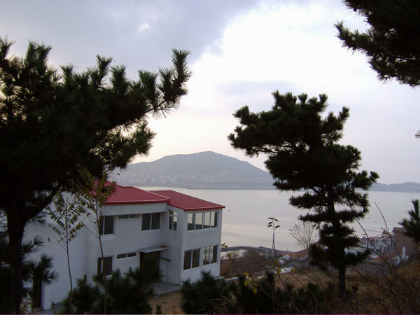 20061118214949_DSCF1834-01.jpg
